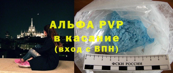 a pvp Бородино